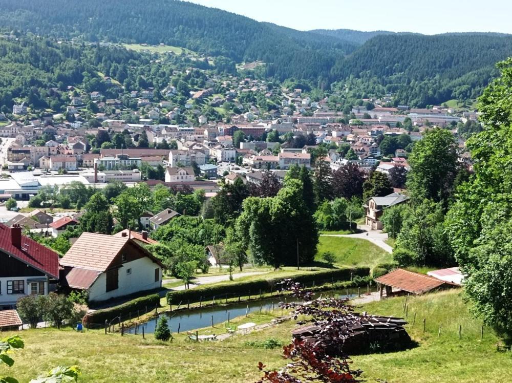 Chalet De Standing 14 Personnes Gérardmer Dış mekan fotoğraf
